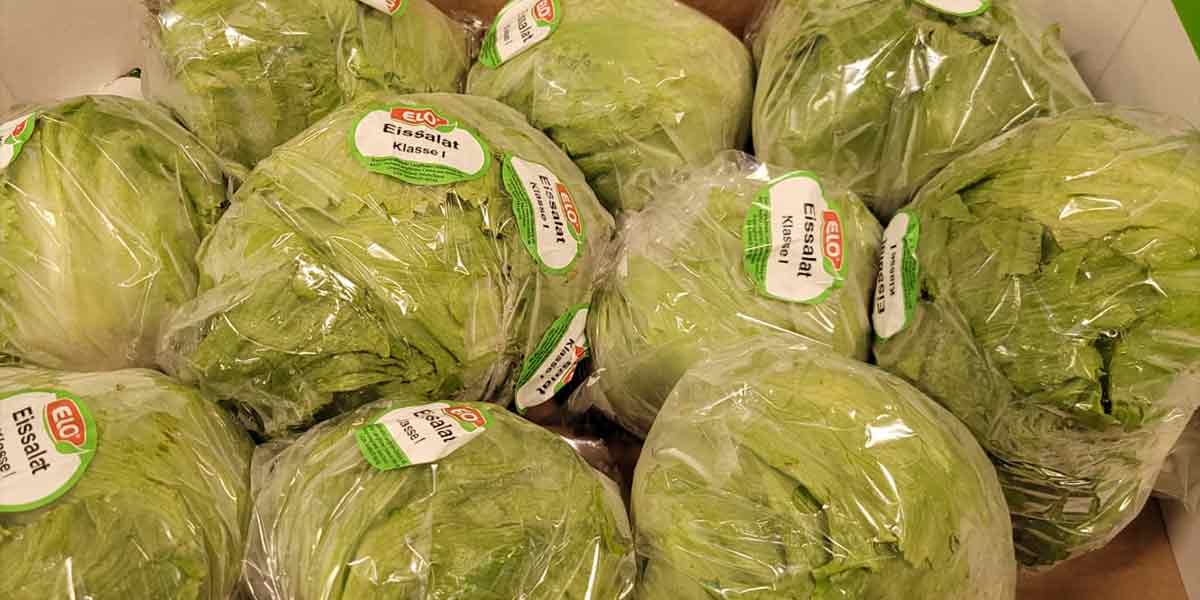 Iceberg - Germania - 12/13 euro al collo